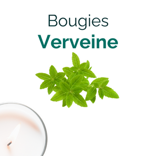 Verveine